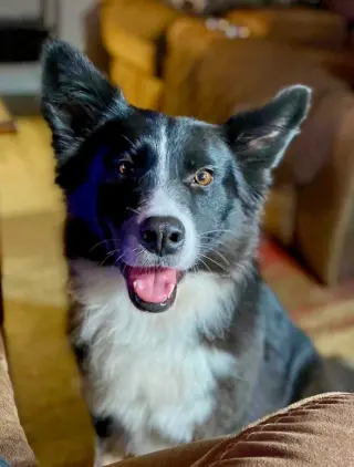 Bonnie