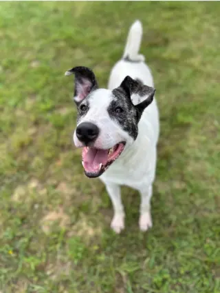 Sally Ann