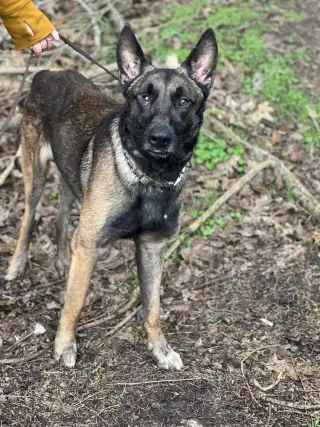 Mateo