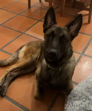 Mateo