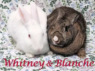 Whitney (bonded to Blanche)