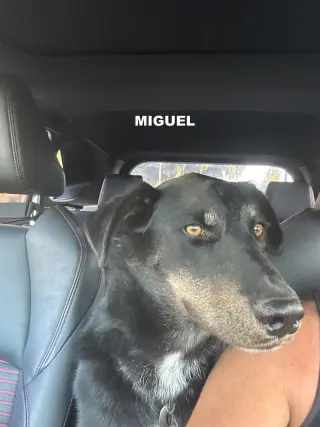MIGUEL