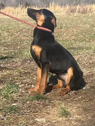 Anya