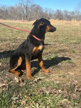 Anya