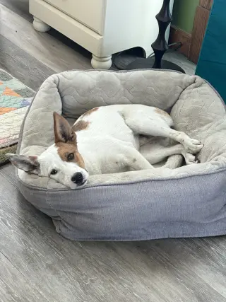 Roscoe