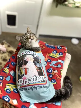 Dolly Purrton