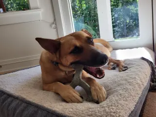 Winnie