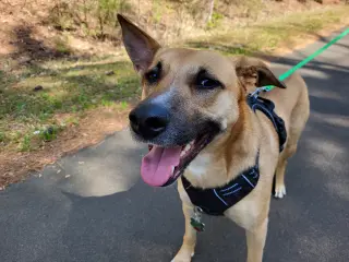 Winnie