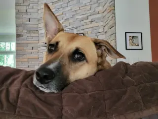 Winnie