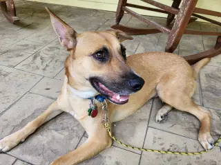 Winnie