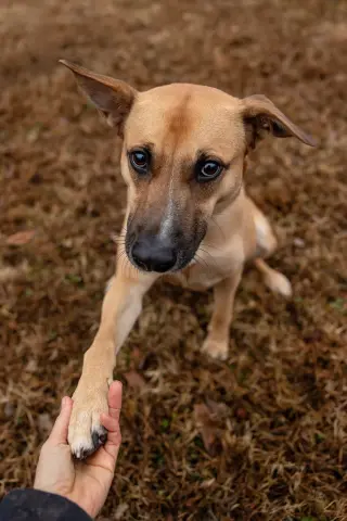 Winnie