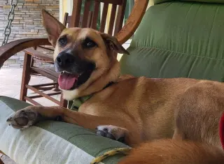 Winnie