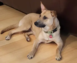 Winnie