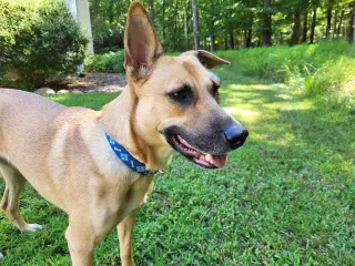 Winnie