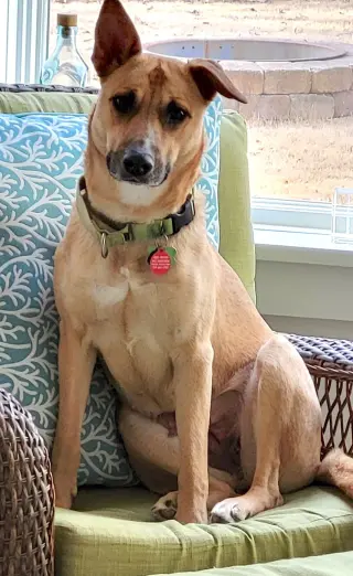 Winnie