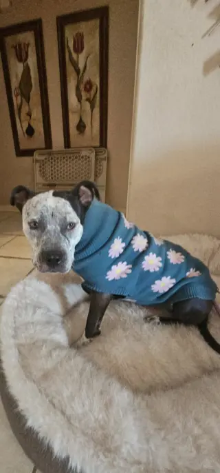 BONNIE #4