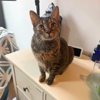 Coco