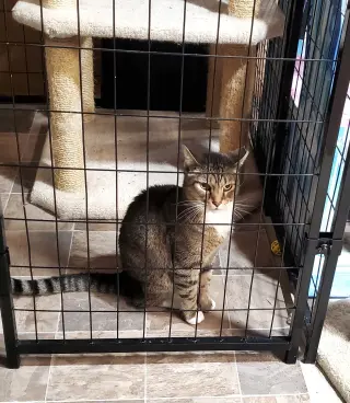 Roscoe