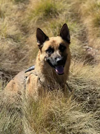 Titan