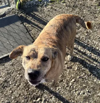 Winifred "Winnie"