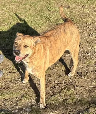 Winifred "Winnie"