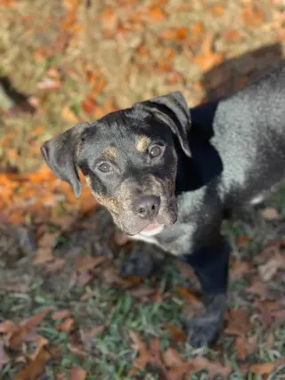 Charlie