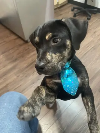 Charlie