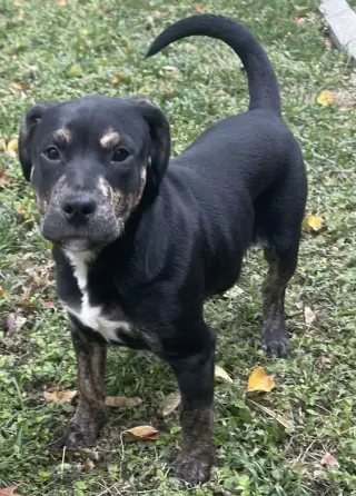 Charlie