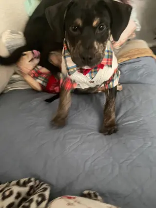 Charlie