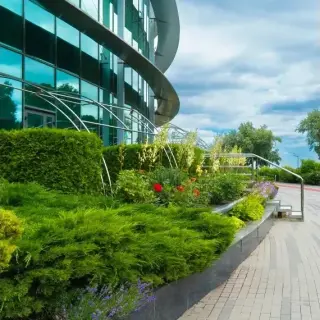 🌴 PROFESSIONAL LANDSCAPING IN LAS VEGAS! 🌴