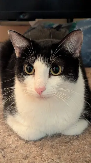 Sophie W
