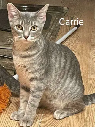 Carrie