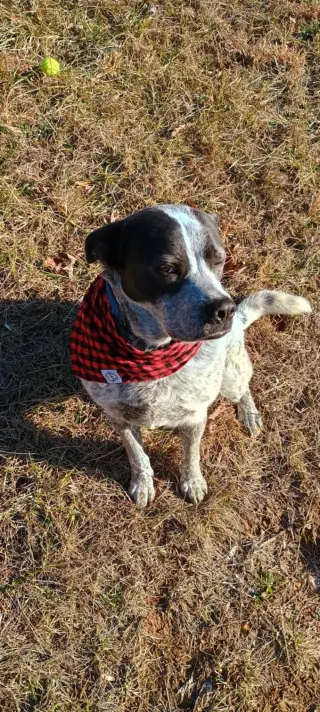 Maggie
