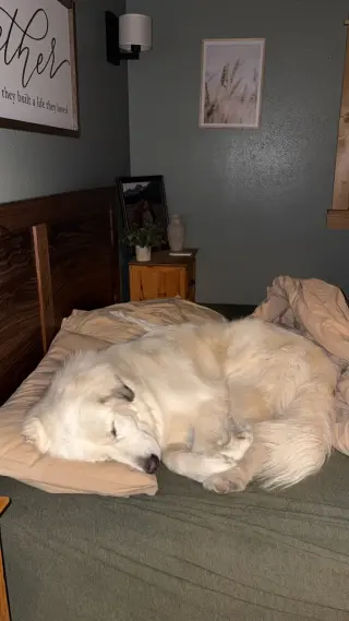 Sophie