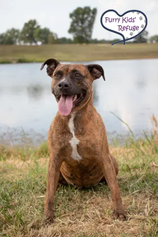 Darla