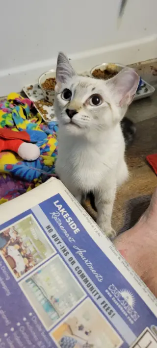 Lucy