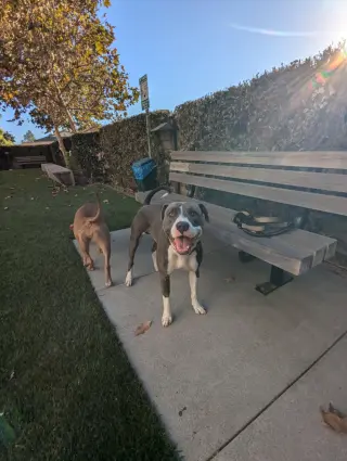 Roscoe
