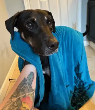 Mac