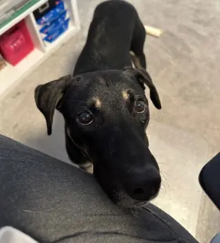 Mac