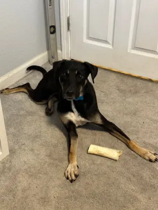 Mac
