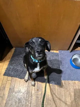 Mac