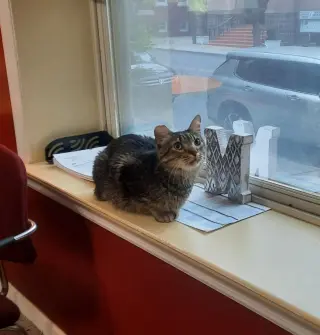 PEPPERCORN