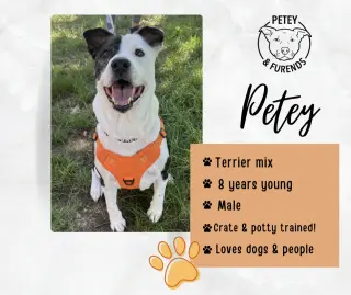 PETEY