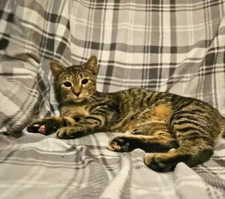 *Sabrina