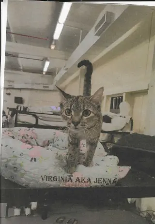 Virginia