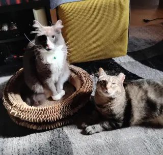 Willow and Flopper