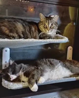 Willow and Flopper
