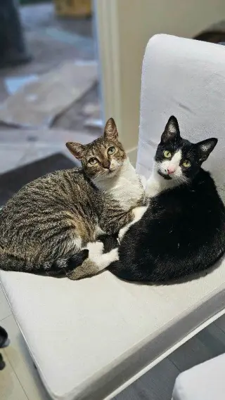 Lilly and Lilah Napa RM