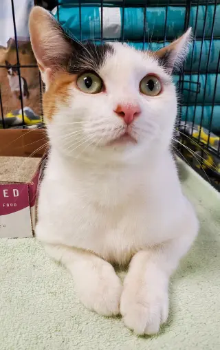 Mimi (Mama)