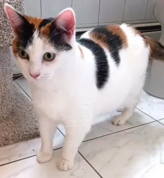 Mimi (Mama)